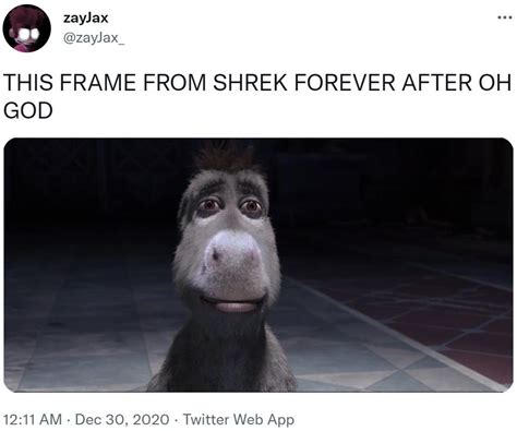 staring donkey|donkey staring meme shrek.